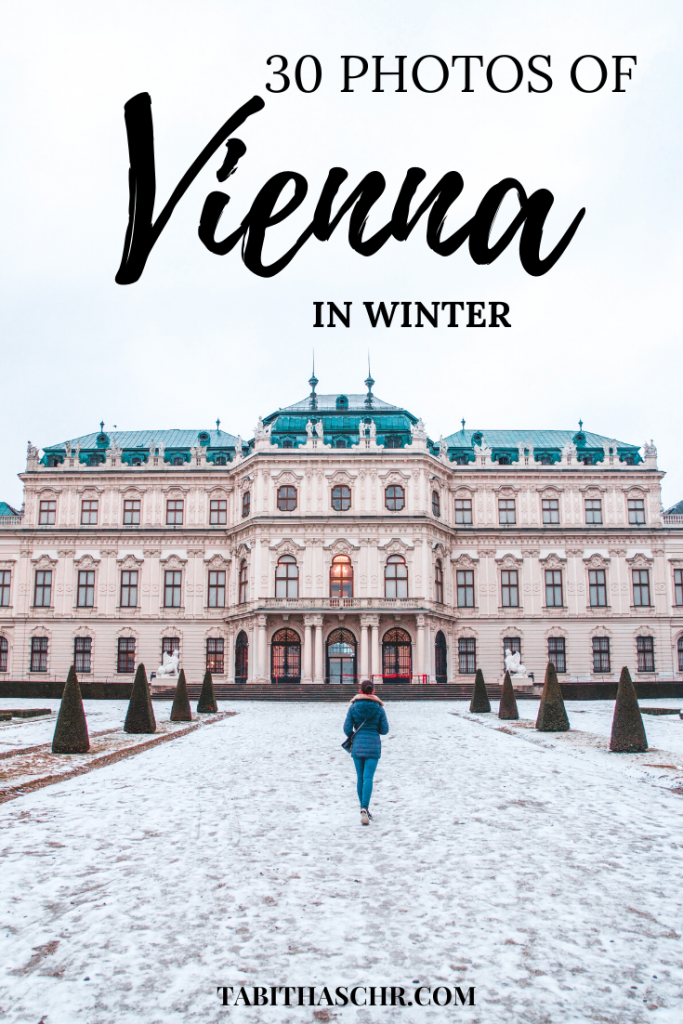 30 Photos of Vienna in Winter