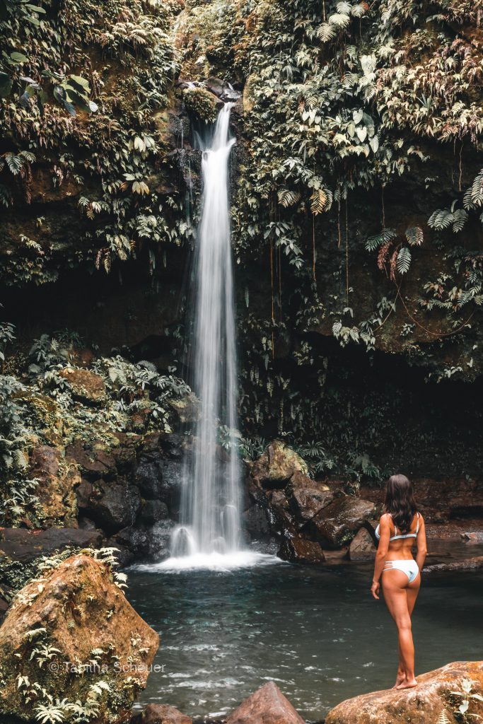 Emerald Pool | Dominica | Caribbean