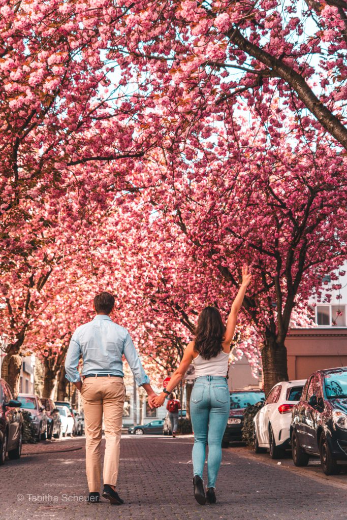 Cherry Blossoms in Bonn, Germany | Travel Couple Goals