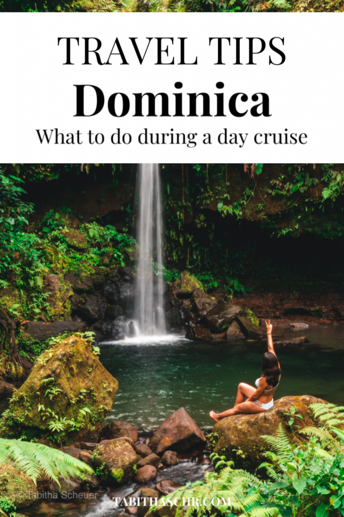 What to do in Dominica during a day cruise