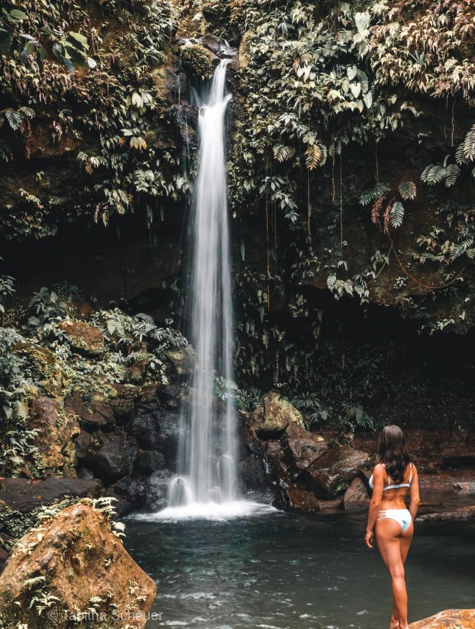 Emerald Pool | Dominica | Caribbean