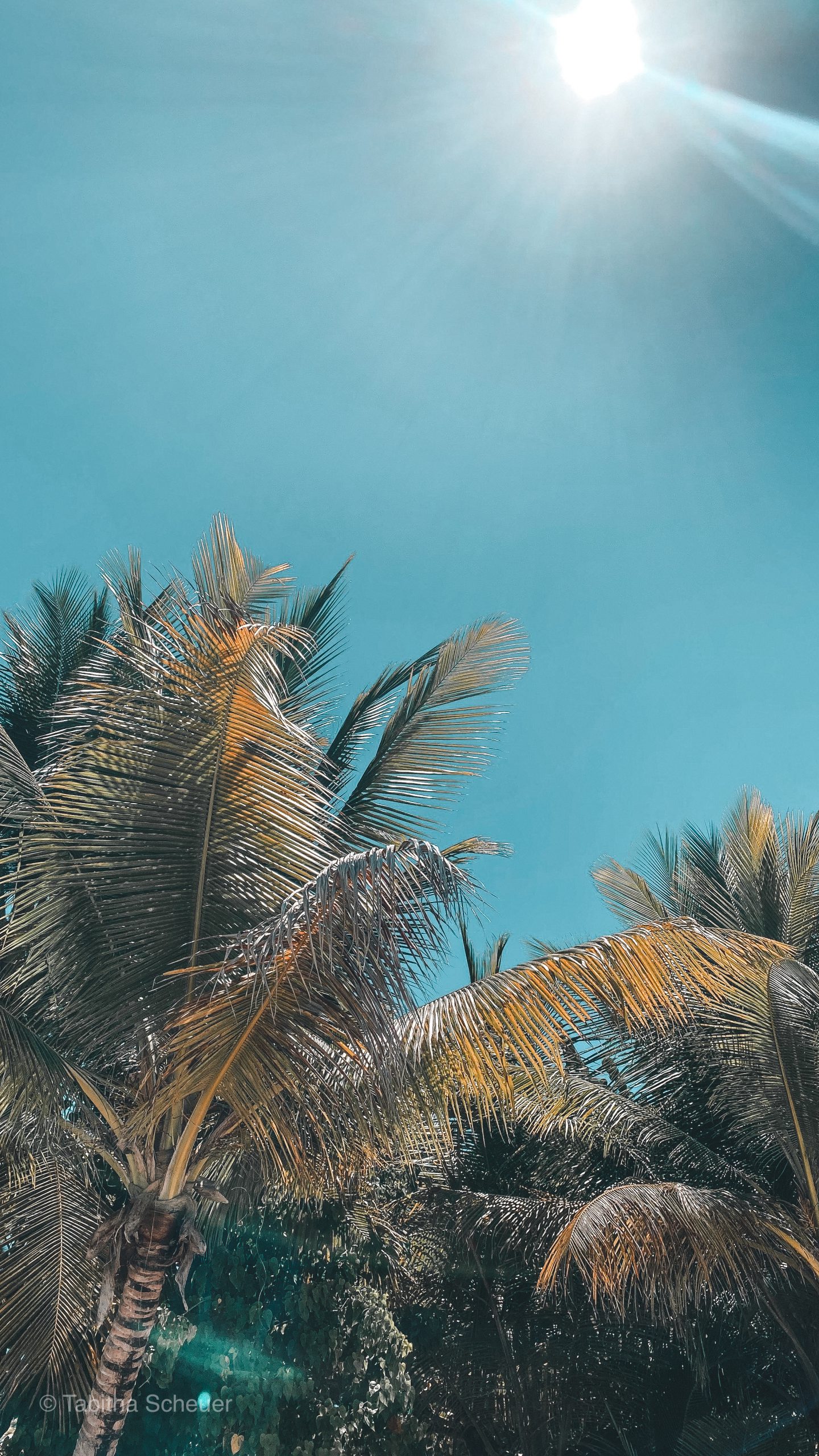 17 Easy Steps For Planning Your Next Trip Tabithaschr