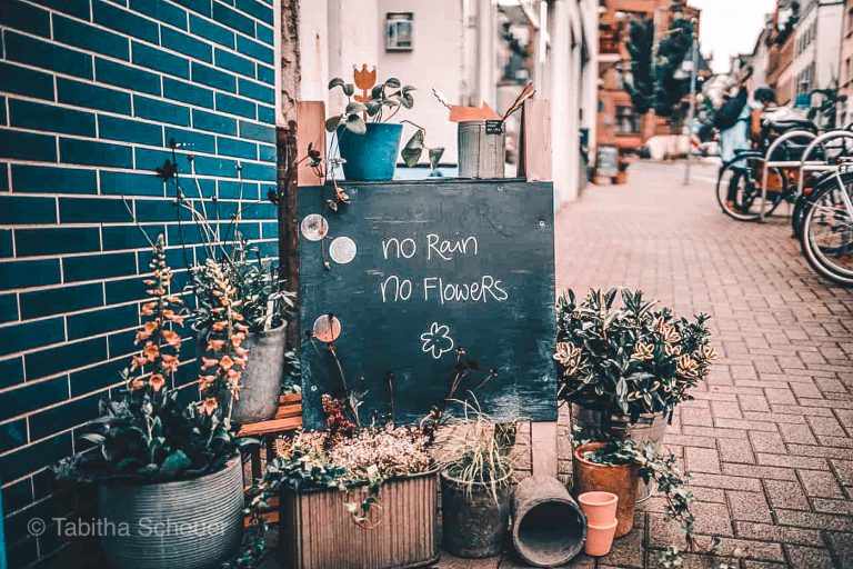 MAINZ DAY TRIP ITINERARY WHAT TO DO SEE EAT IN 1 DAY visual data 8