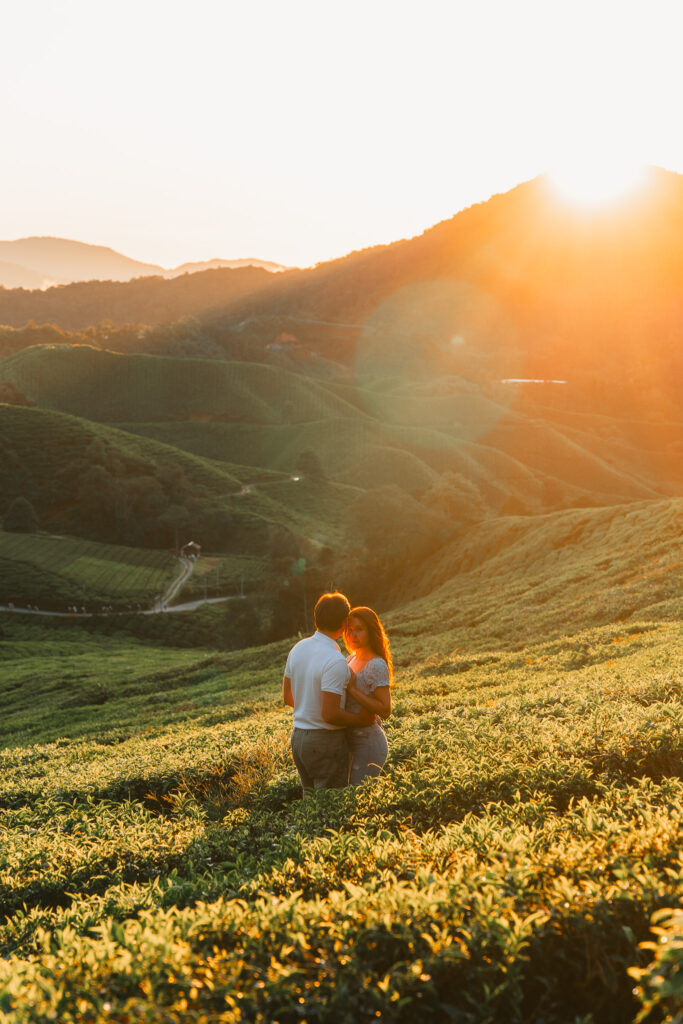 Cameron Highlands in Malaysia