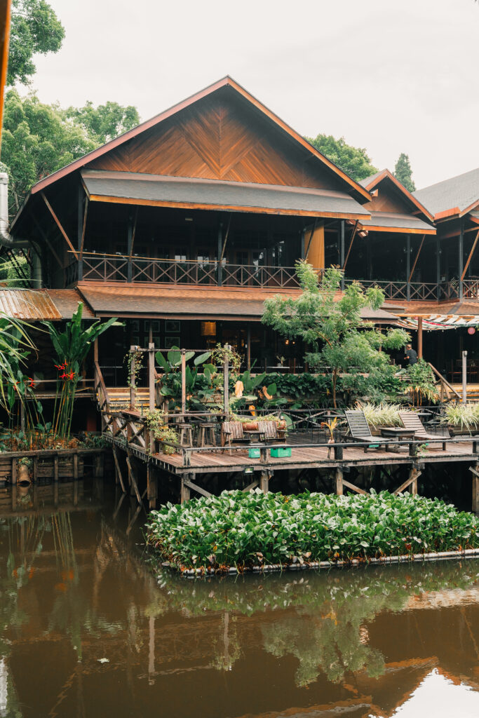 Wildlife in Sabah, Borneo - Sepilok Nature Resort